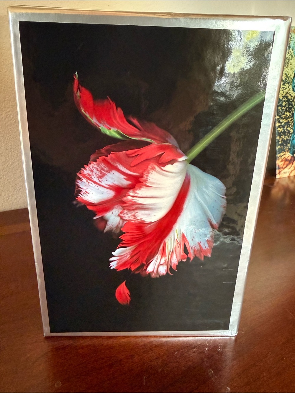 The Twilight Saga Hardcover Complete 4 Book Box Set First Edition Bonus Content - Picture 6 of 7